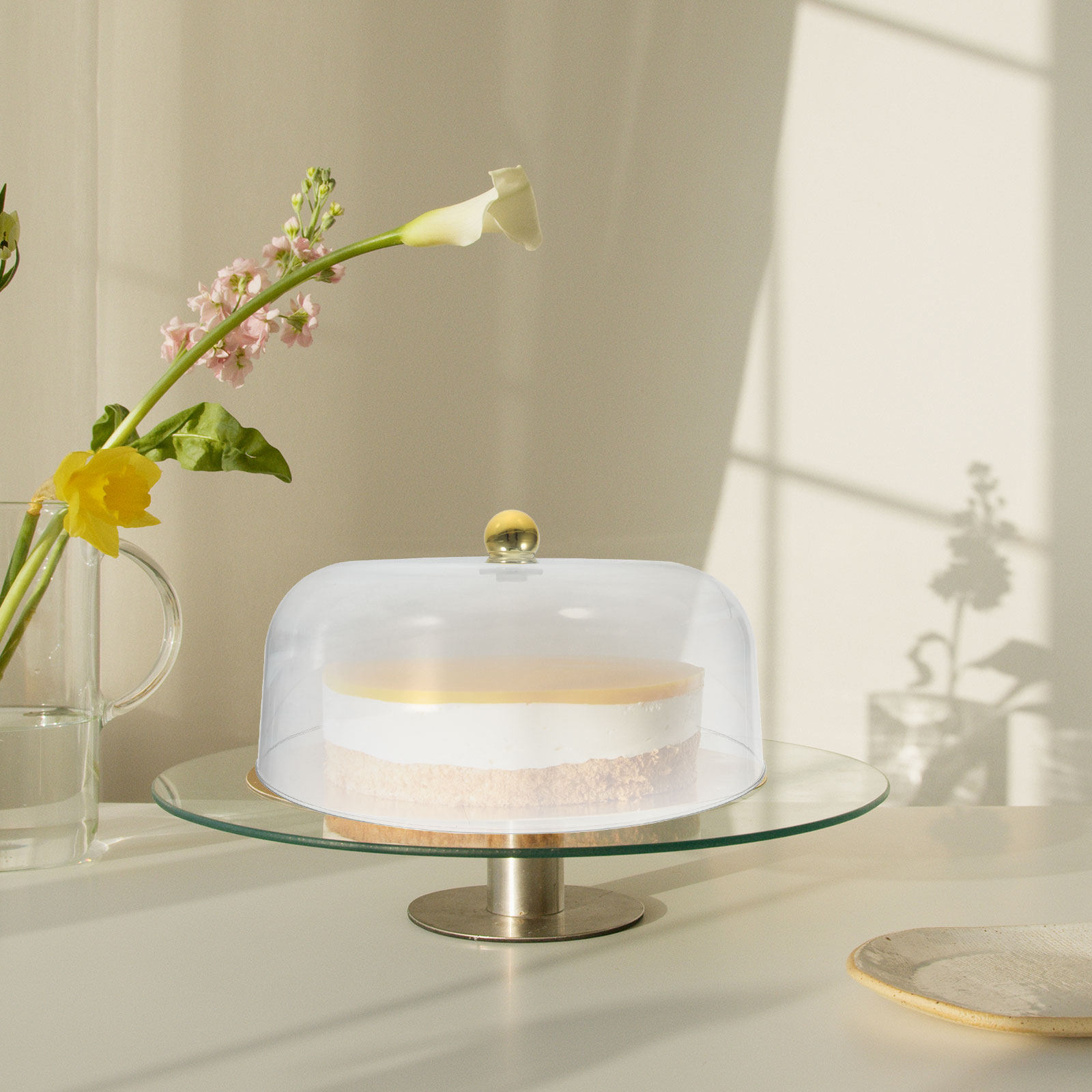 Cúpula de plástico para tartas - Plastic Dome Clear reseña y precio