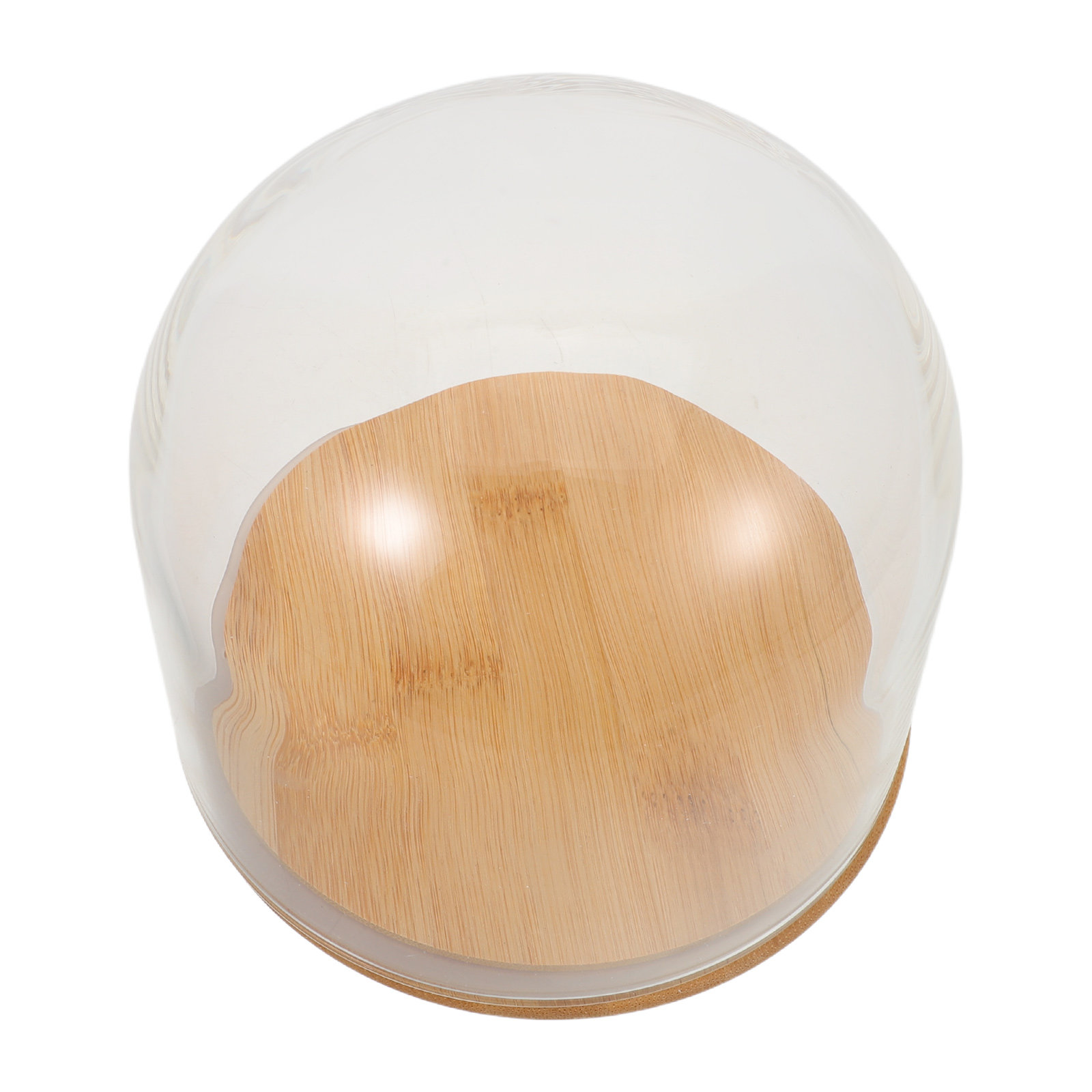 Campana de cristal transparent - Plastic Dome Clear reseña y precio
