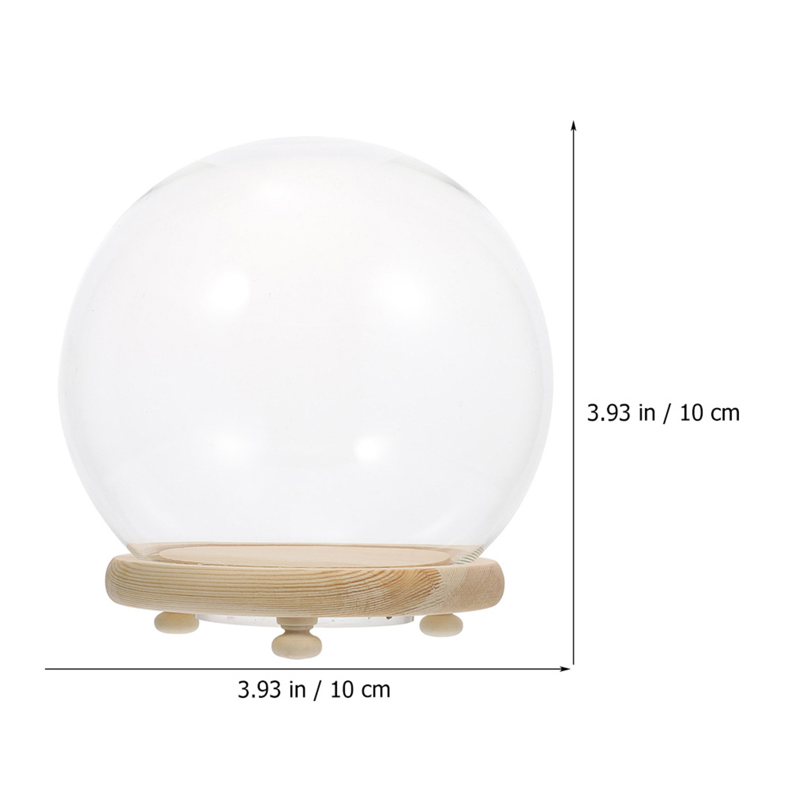 Cúpula de cristal para flores  - Plastic Dome Clear reseña y precio