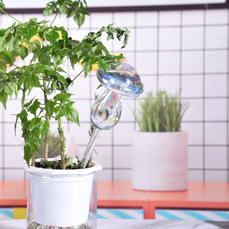 Bombillas de riego automático  - Self Watering Insert reseña y precio