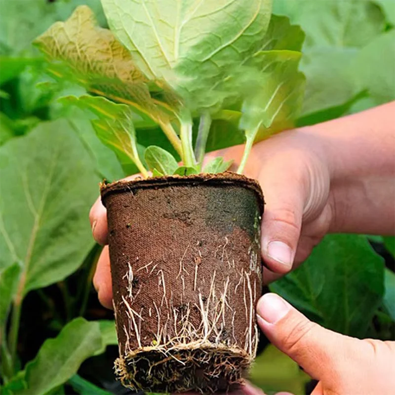 50 unidades de macetas redonda - Peat Pellet Tray reseña y precio