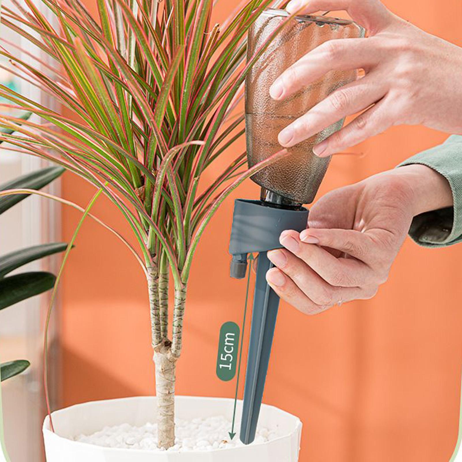6 Piezas de Sistema de Riego A - Self Watering Insert reseña y precio